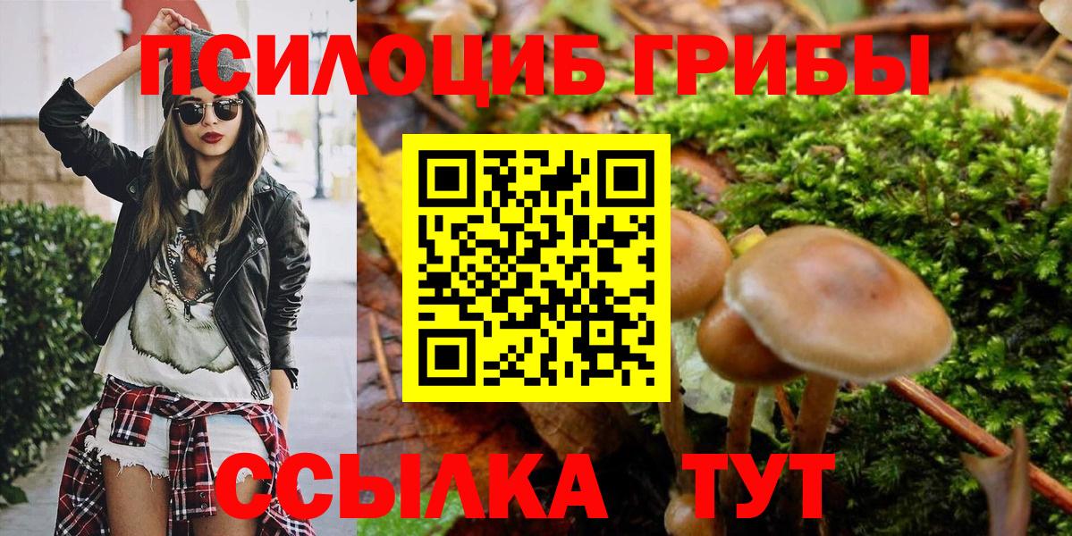 Галлюциногенные грибы Psilocybe  Вход с VPN  Славгород 